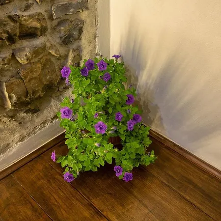 Apartamento Pilissy Ossuccio